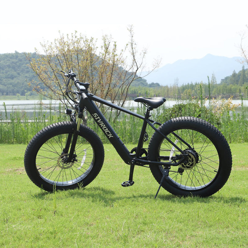 Electric-Bikes with Dual-Motor