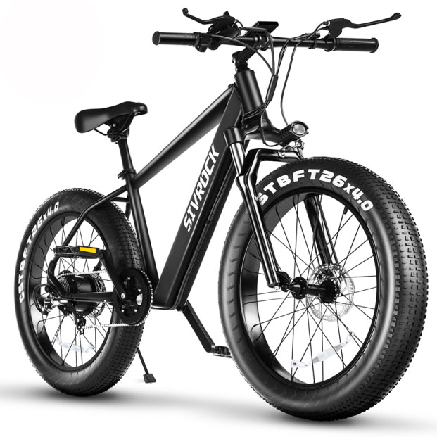 Electric-Bikes with Dual-Motor